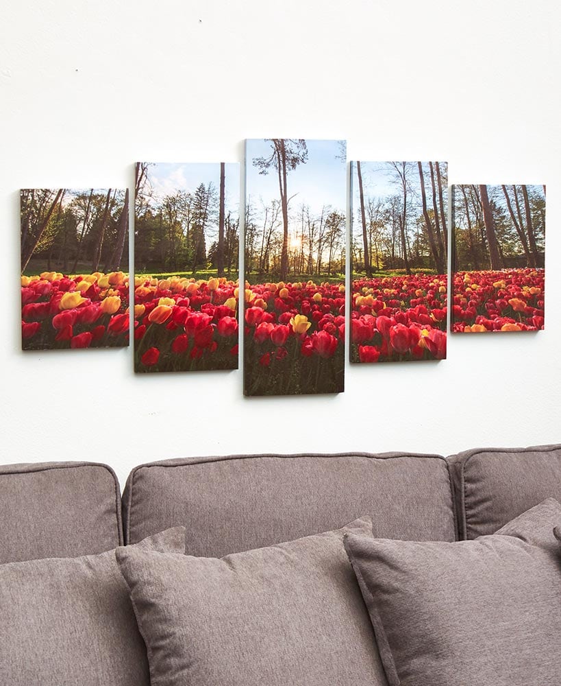 Canvas_Wall_Art_Sets_Tulip_Field_2106372_zm_2b1bd01b-a89b-4b69-ae96-82f9b7e8a502